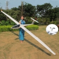 DG-303 Electric Glider (with Brake) 4000mm