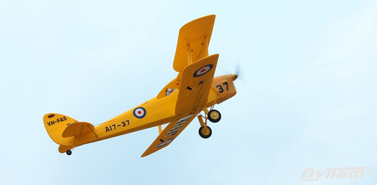 Dynam Tiger Moth EPO 1270mm