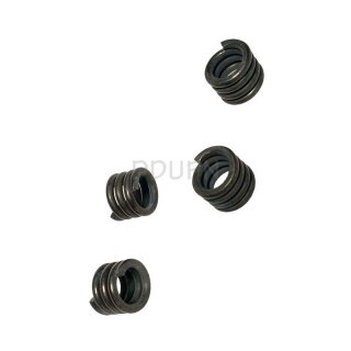 HBX part TS025 Slipper Springs