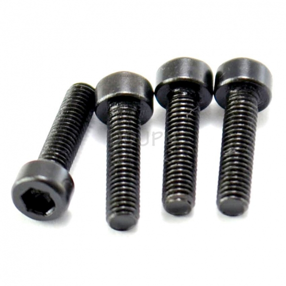 SST part 09921 Cap Head Screw M3x12mm 8P